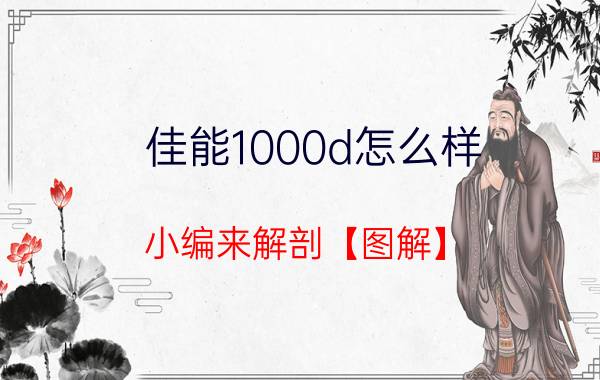 佳能1000d怎么样 小编来解剖【图解】